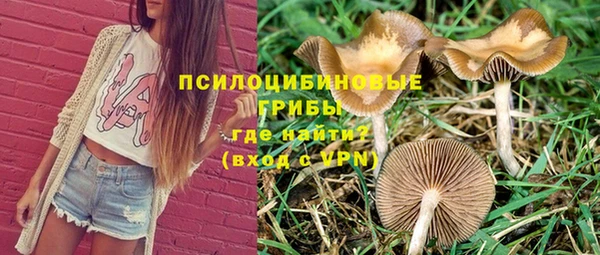 твердый Нея