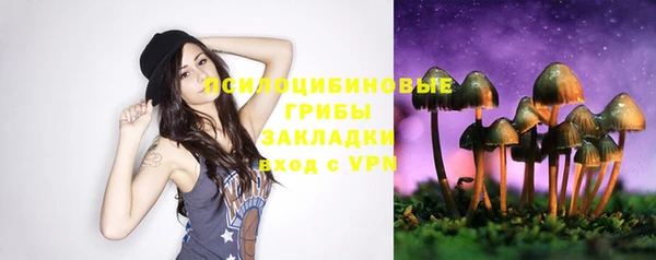 стаф Гусиноозёрск