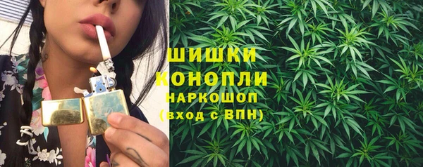 бутират Гусь-Хрустальный