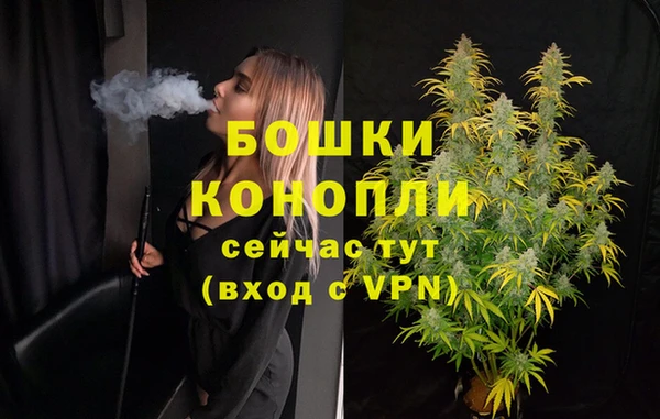 бутират Гусь-Хрустальный