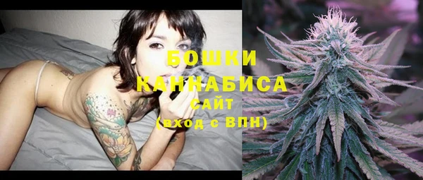 бутират Гусь-Хрустальный