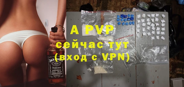 стаф Гусиноозёрск