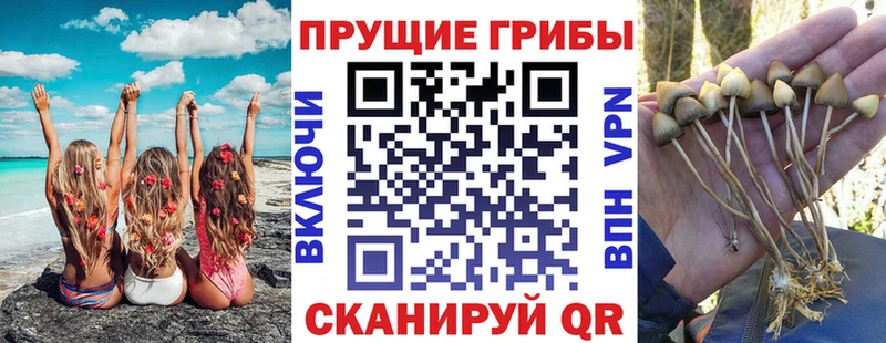 Галлюциногенные грибы мицелий  Медынь 